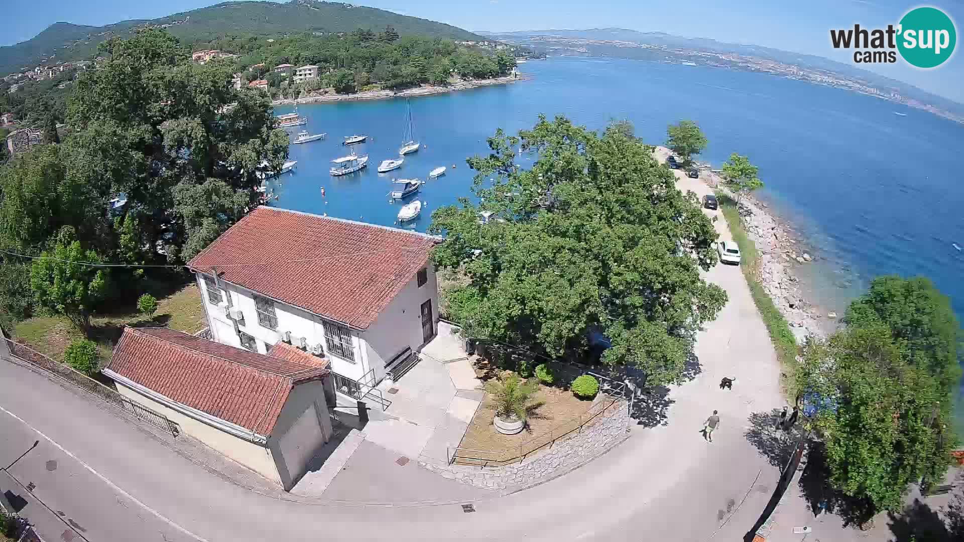 Ika Harbor Webcam – LIVE View of the Harbor and Opatija Lights