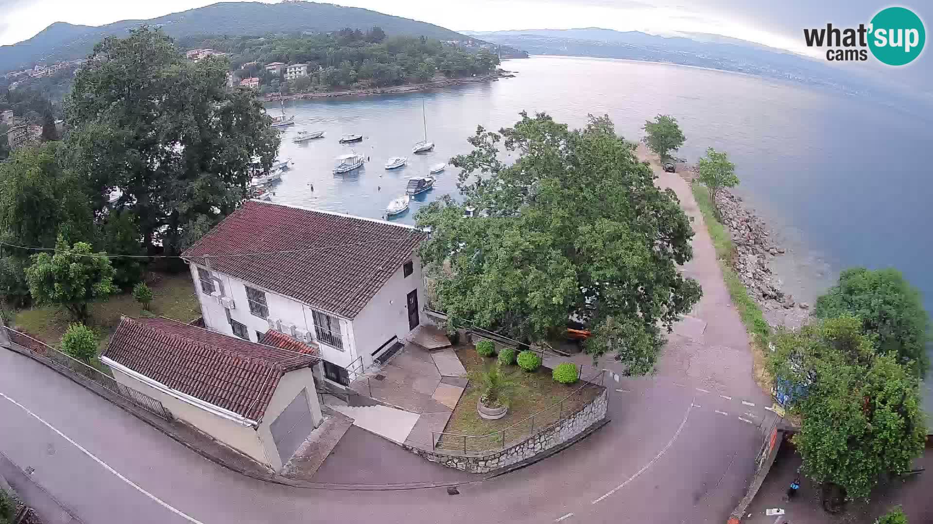 Ika Harbor Webcam – LIVE View of the Harbor and Opatija Lights
