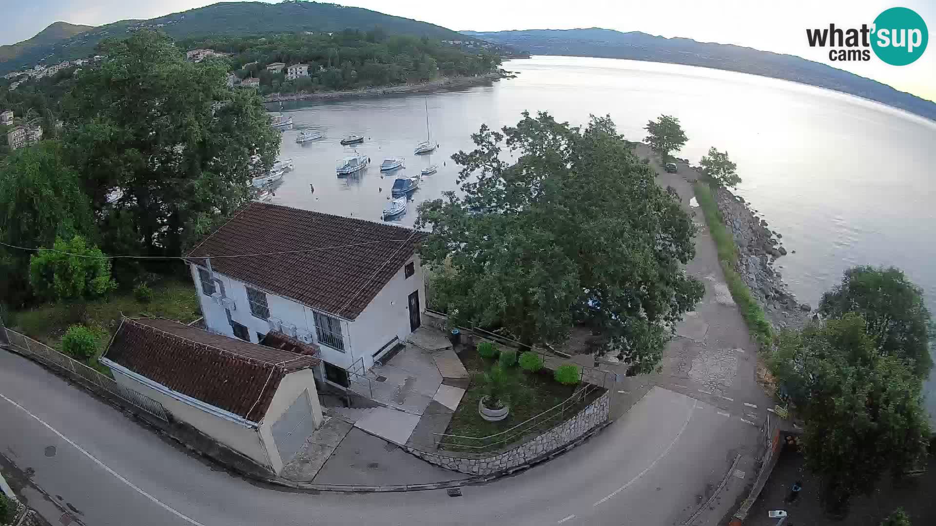 Webcam puerto de Ika – Vista en directo y luces de Opatija