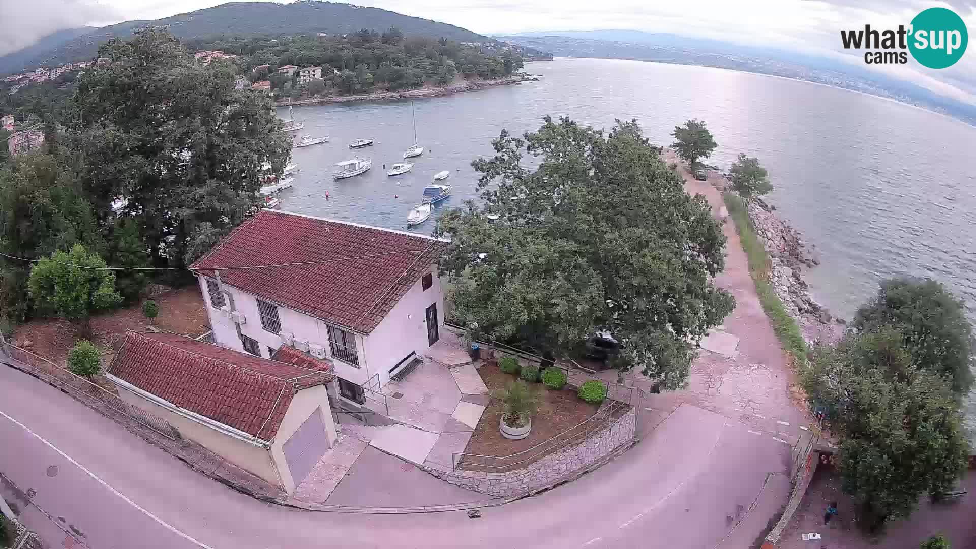Web kamera luka Ika – Pogled uživo na luku i svjetla Opatije