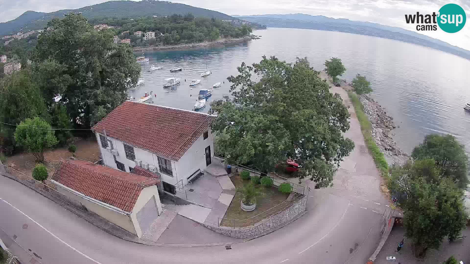 Webcam puerto de Ika – Vista en directo y luces de Opatija
