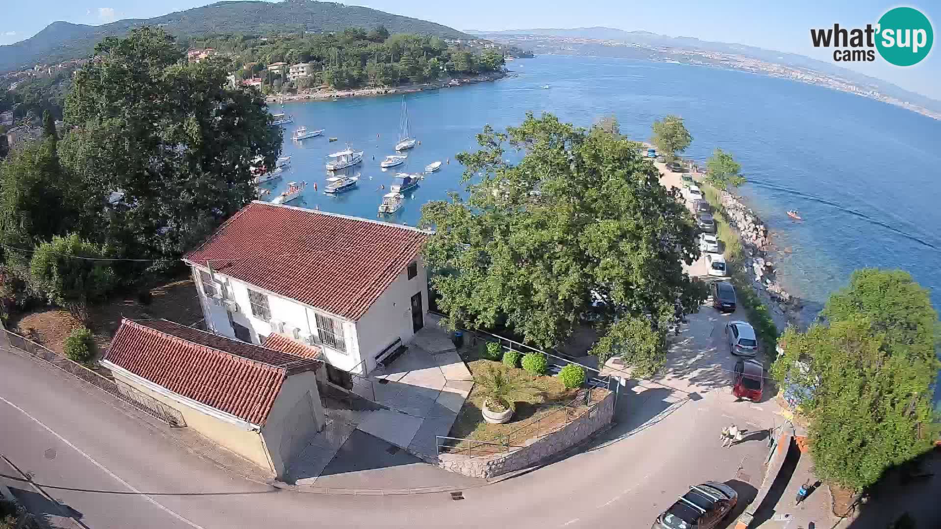 Webcam puerto de Ika – Vista en directo y luces de Opatija