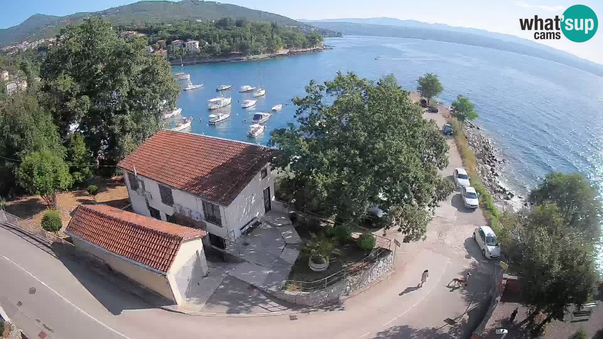 Ika Harbor Webcam – LIVE View of the Harbor and Opatija Lights