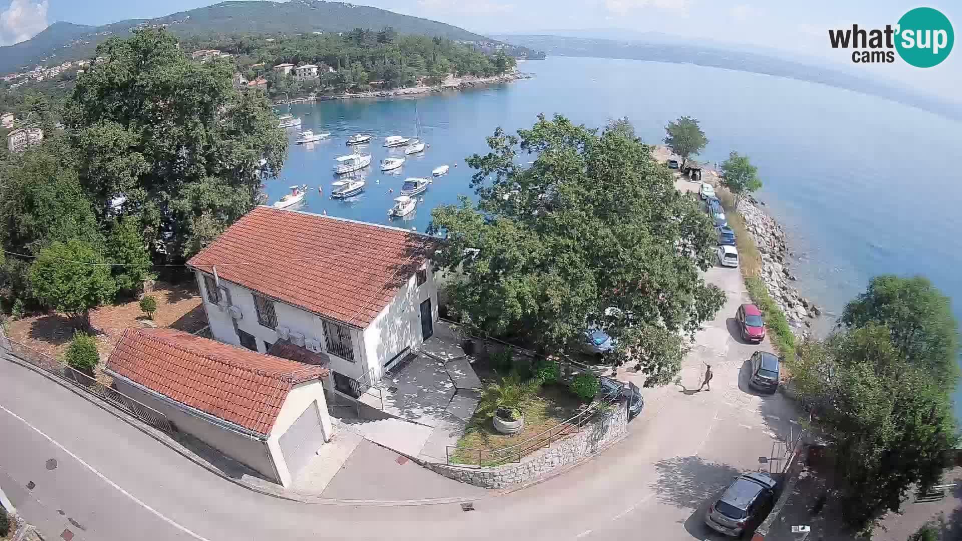 Webcam porto Ika – Vista LIVE sul porto e le luci di Opatija