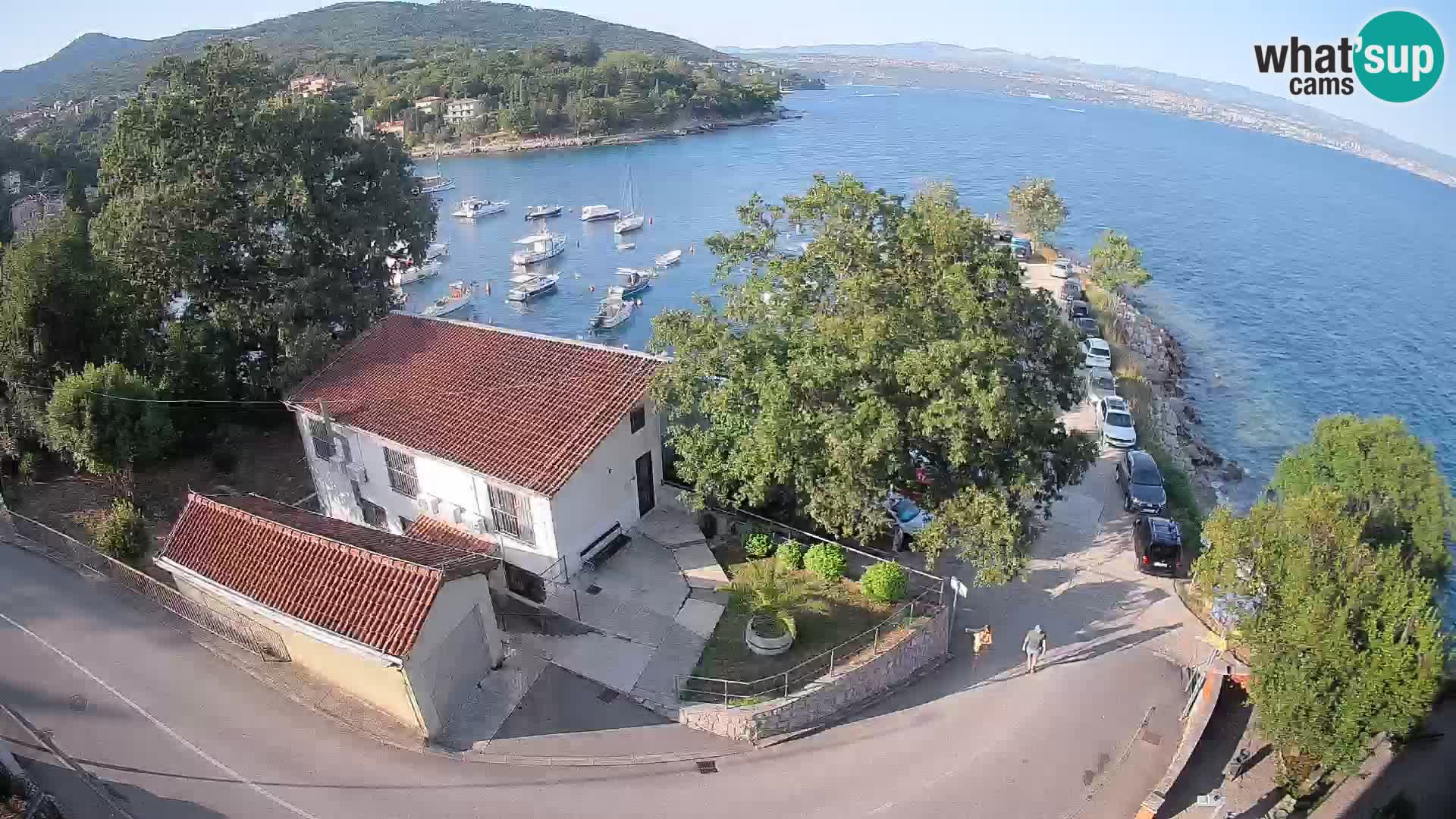 Webcam Ika Hafen – LIVE Blick auf den Hafen und die Lichter von Opatija
