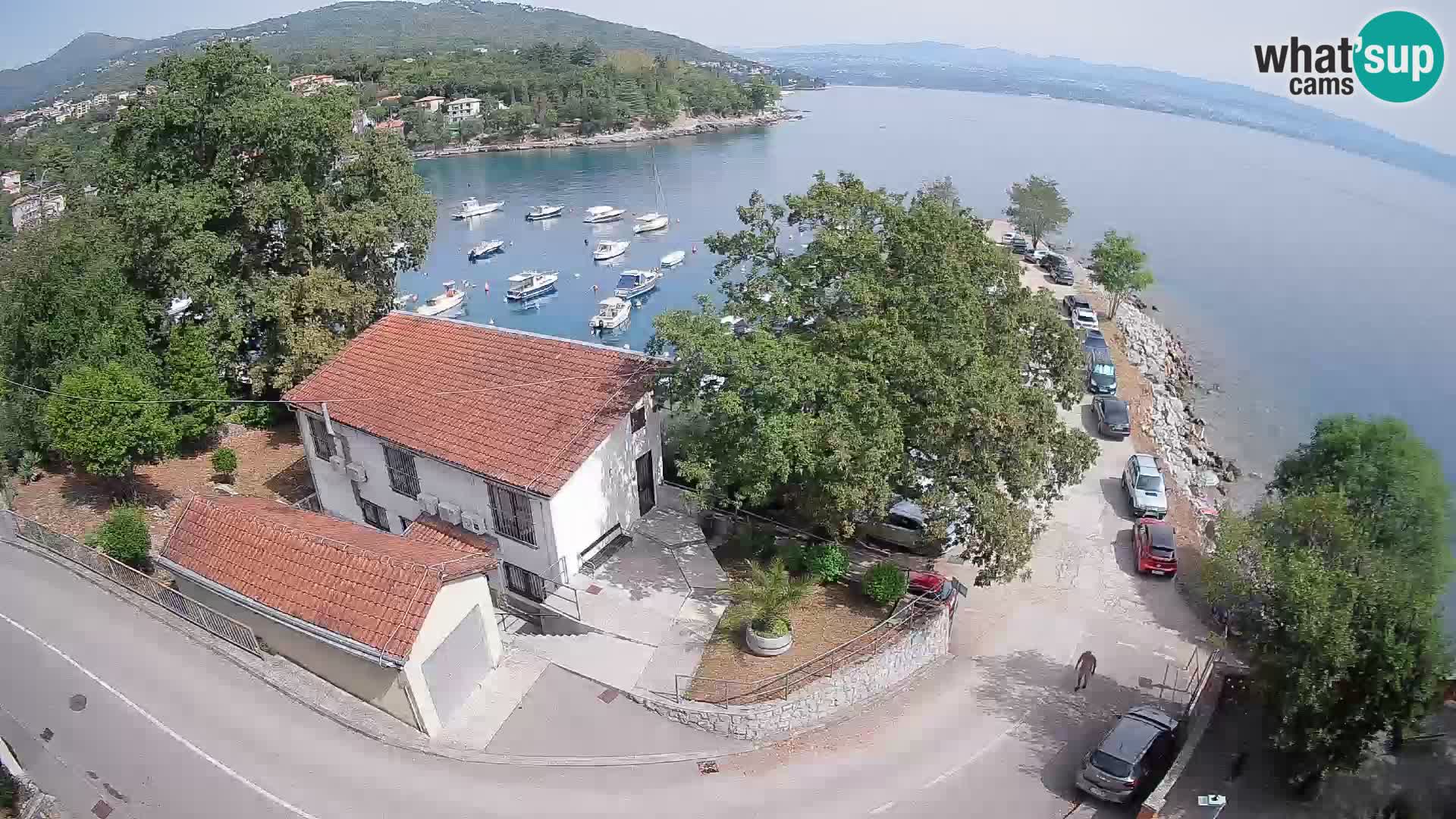 Ika Harbor Webcam – LIVE View of the Harbor and Opatija Lights