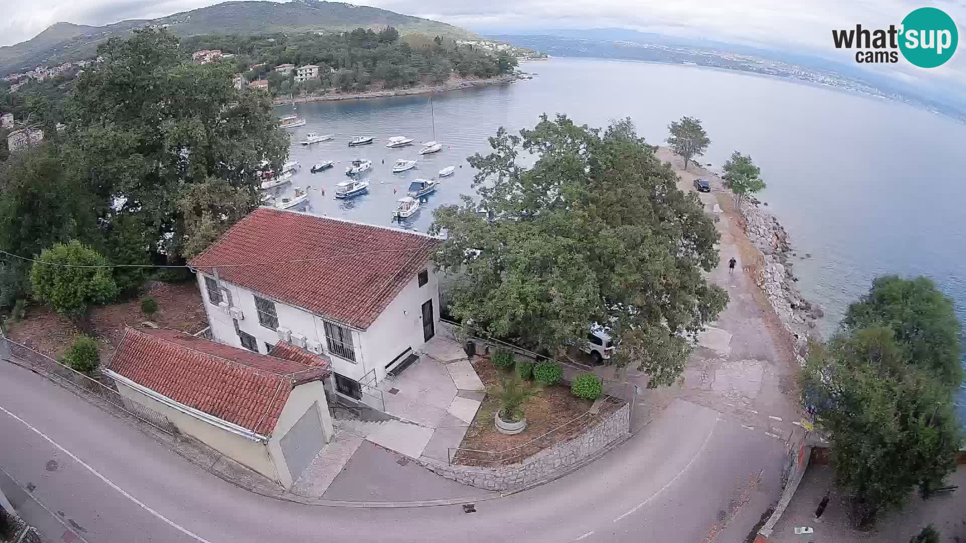 Webcam puerto de Ika – Vista en directo y luces de Opatija