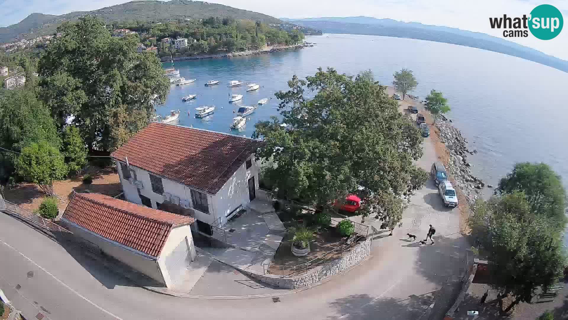 Webcam puerto de Ika – Vista en directo y luces de Opatija