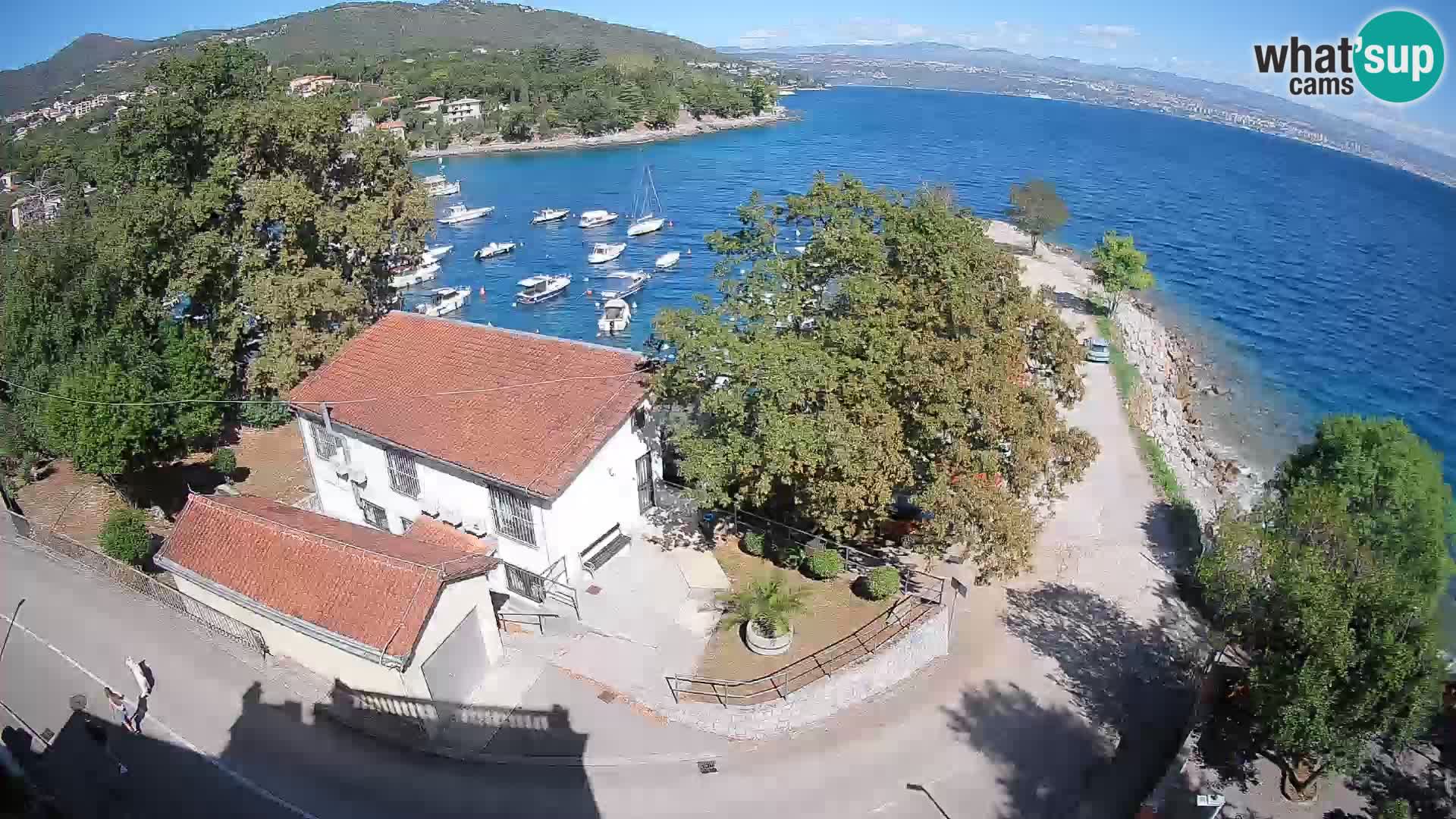 Webcam puerto de Ika – Vista en directo y luces de Opatija