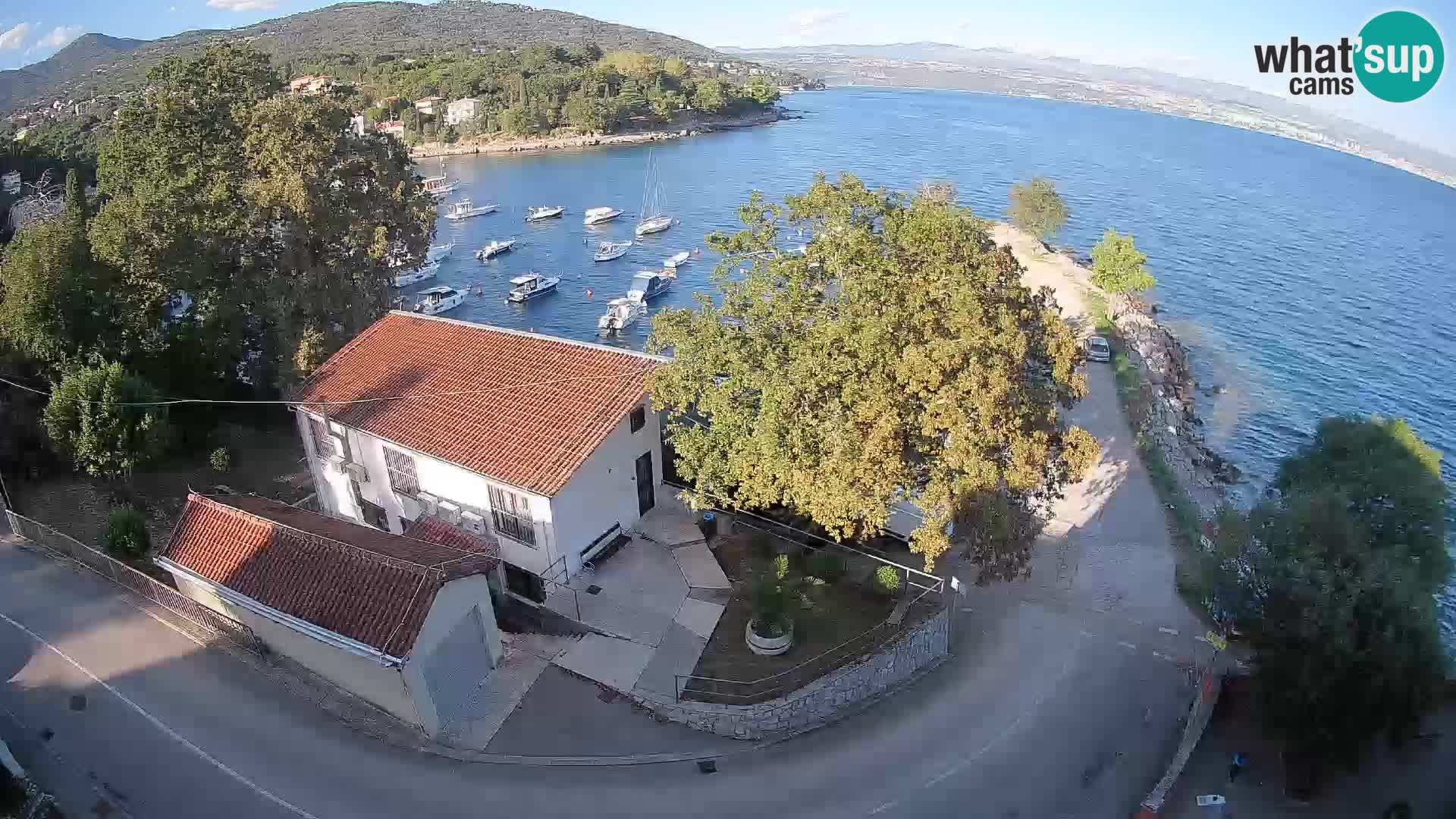 Ika Harbor Webcam – LIVE View of the Harbor and Opatija Lights