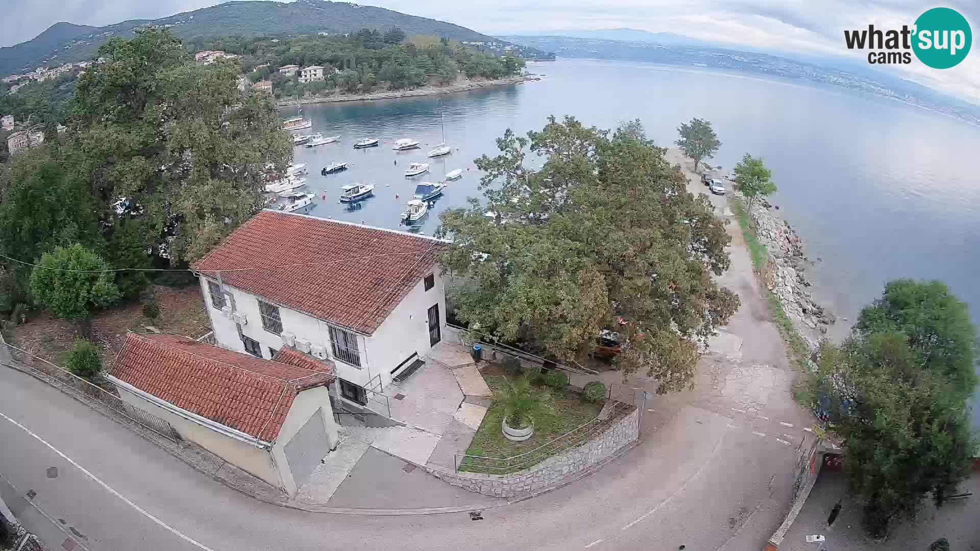 Webcam puerto de Ika – Vista en directo y luces de Opatija