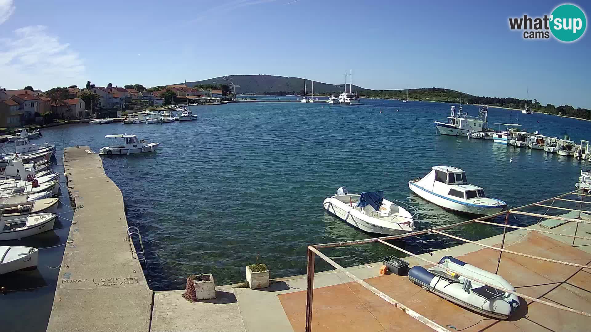 Livecam Asinello – San Piero