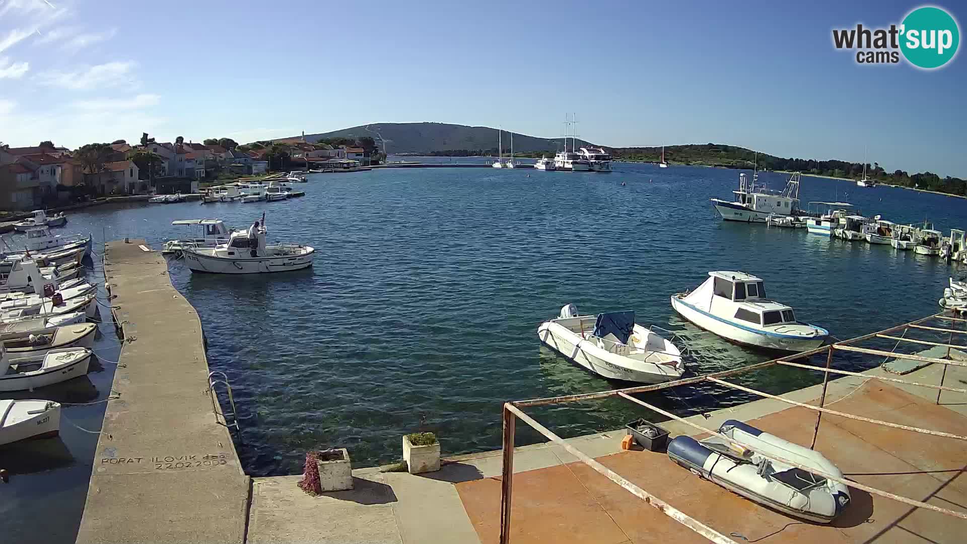 Livecam Asinello – San Piero