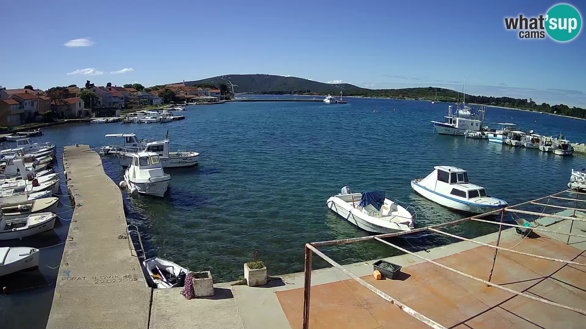 Camera en vivo Ilovik – Sveti Petar