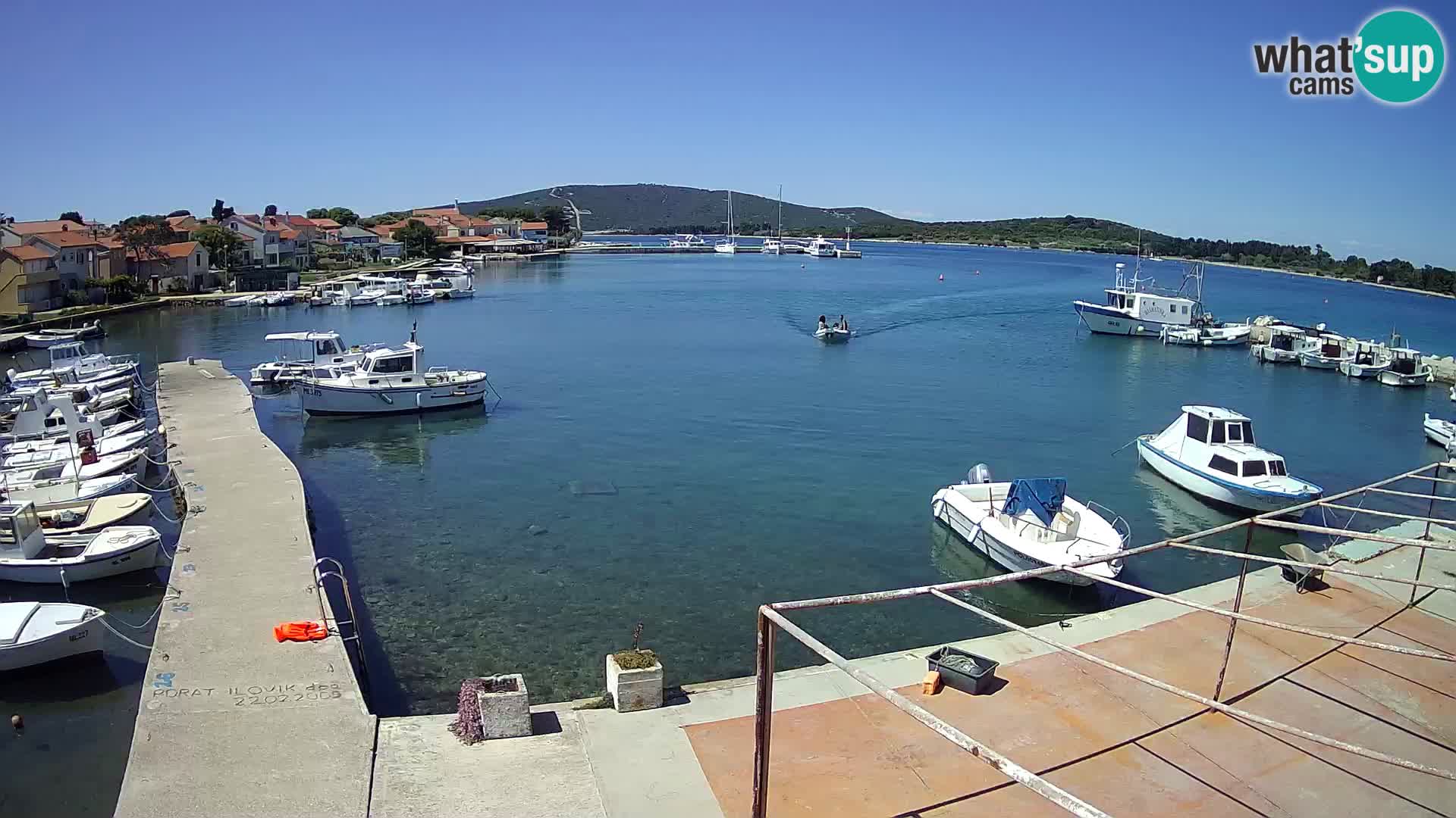 Livecam Asinello – San Piero