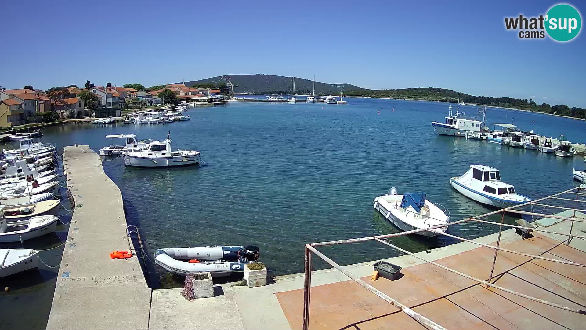 Livecam Asinello – San Piero