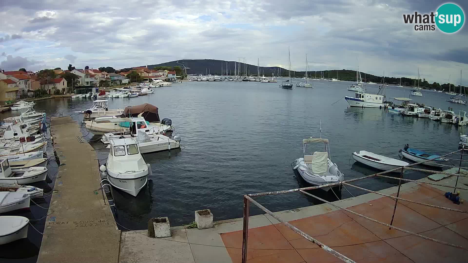 Webcam Ilovik – Sveti Petar – Kvarner