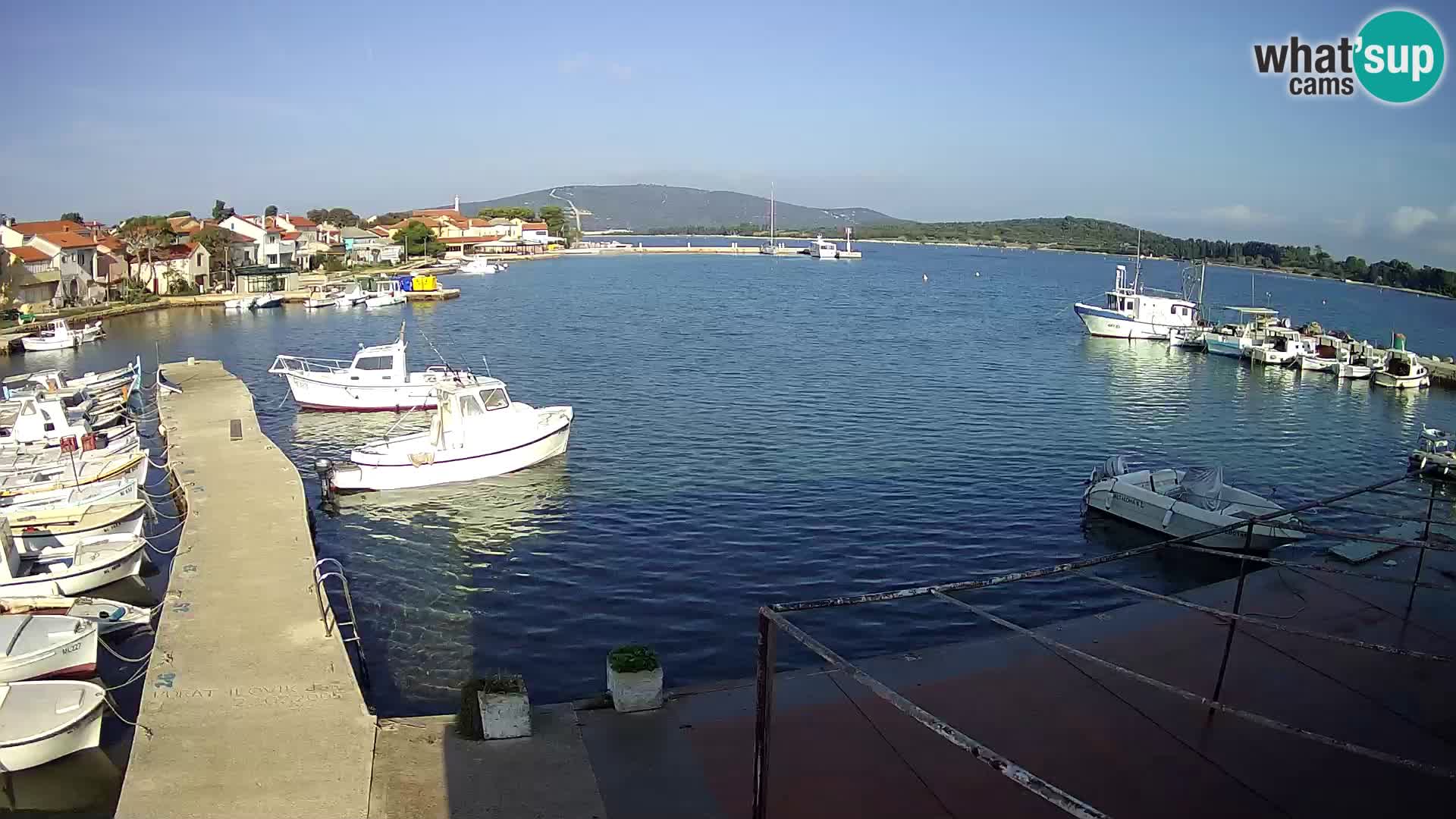 Livecam Asinello – San Piero