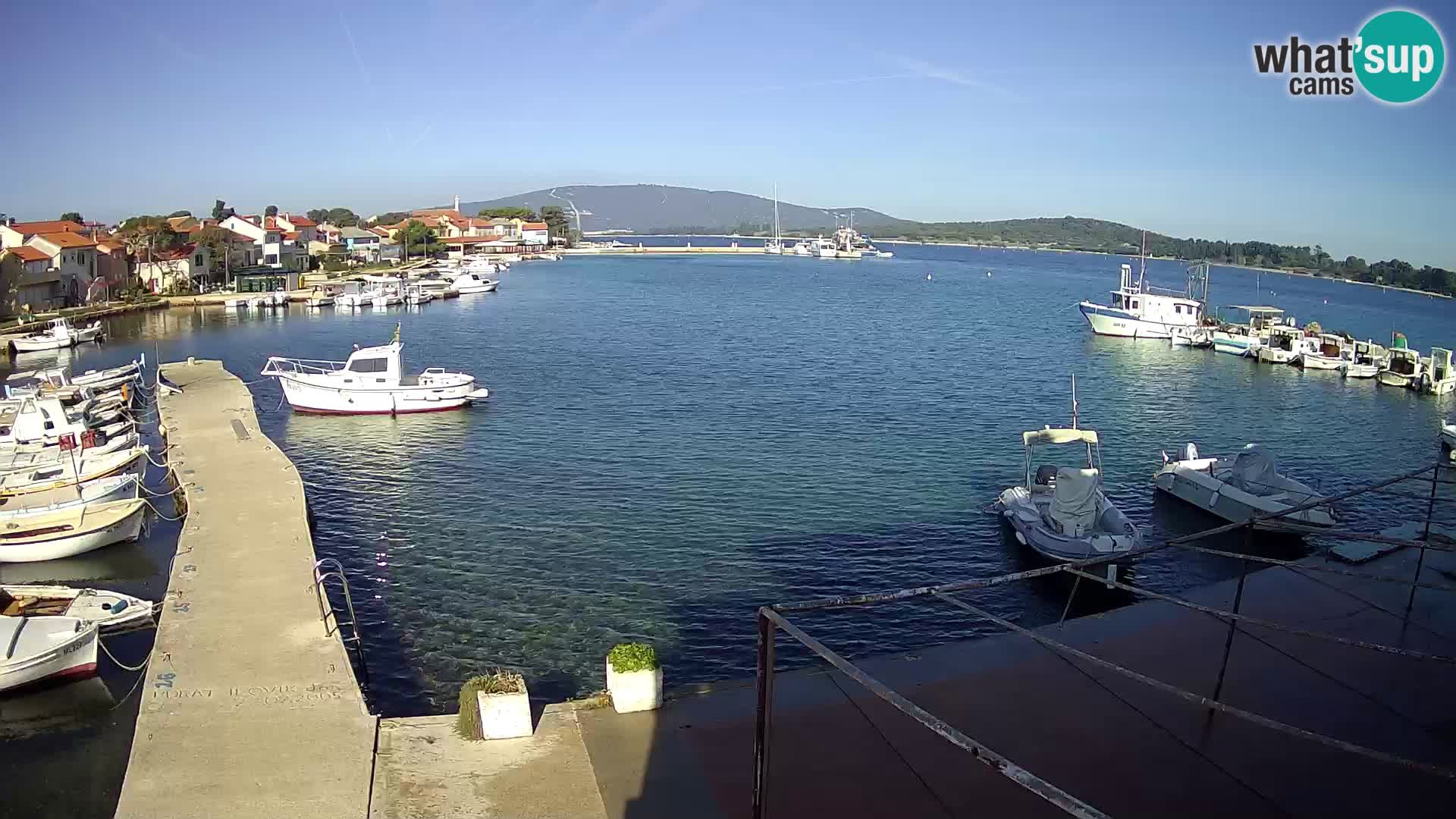 Webcam Ilovik – Sveti Petar – Kvarner