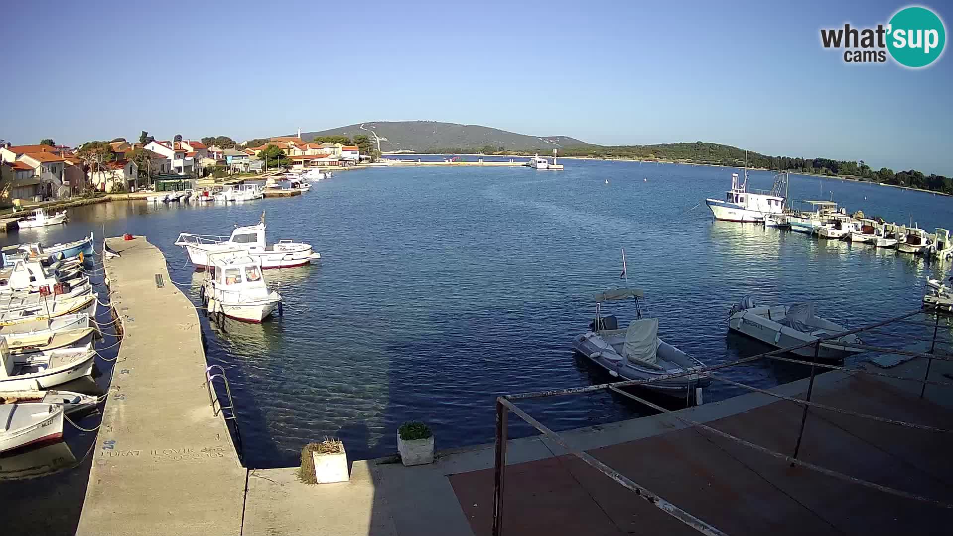 Livecam Asinello – San Piero