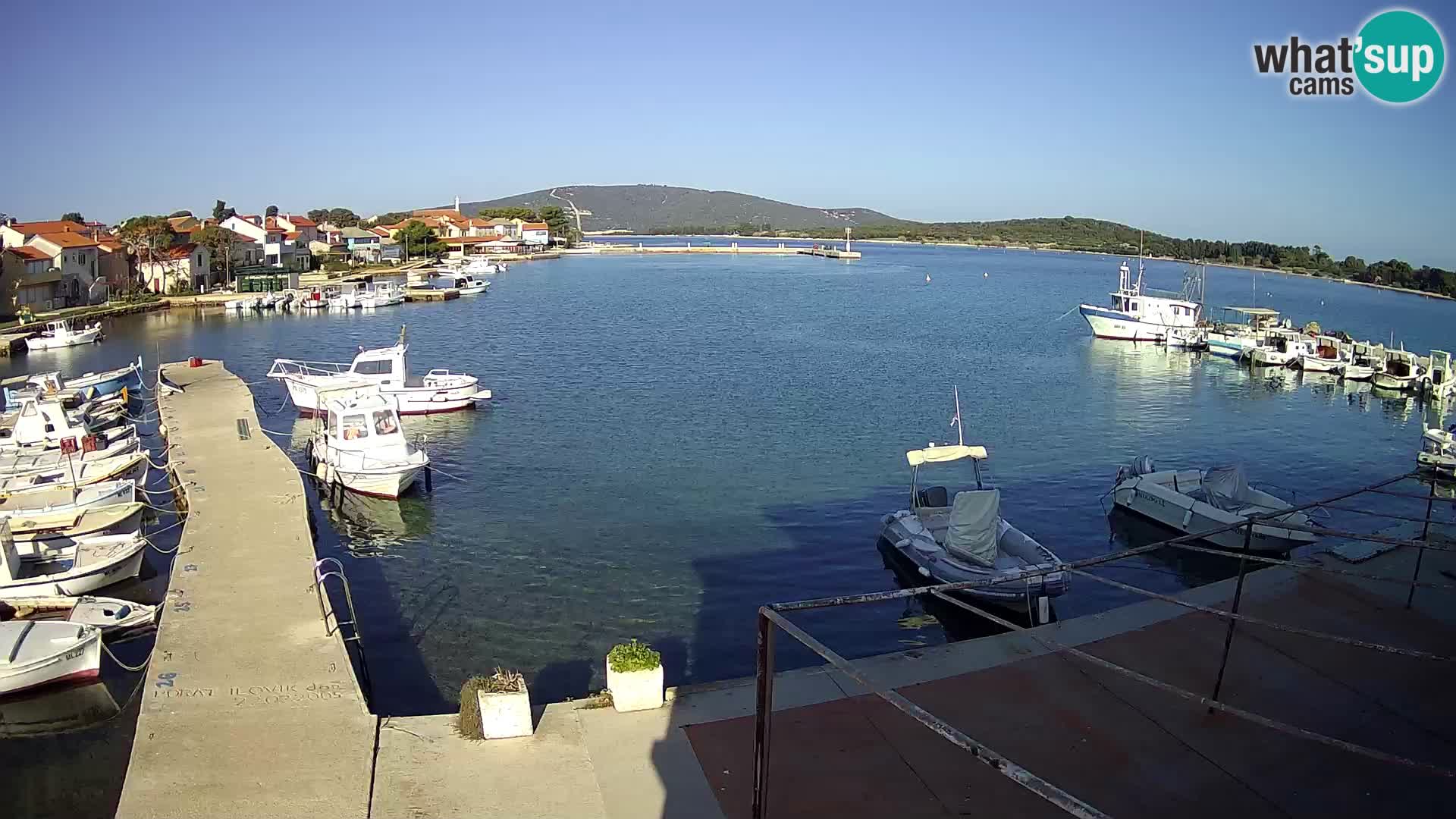 Webcam Ilovik – Sveti Petar – Kvarner