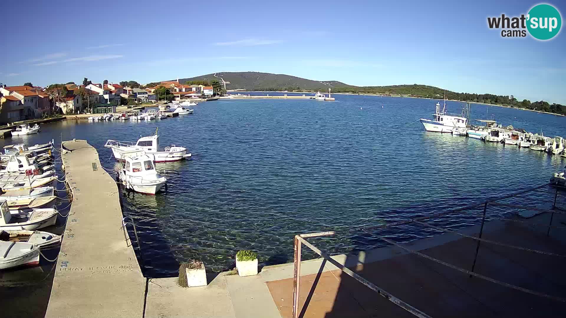 Livecam Asinello – San Piero