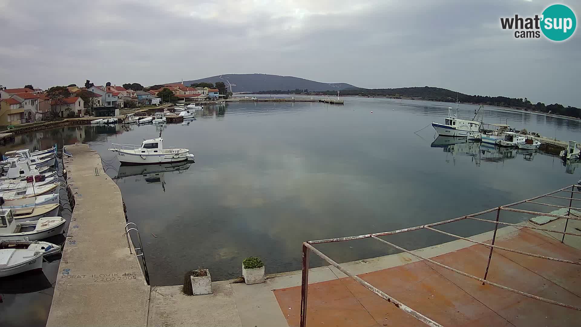 Livecam Asinello – San Piero