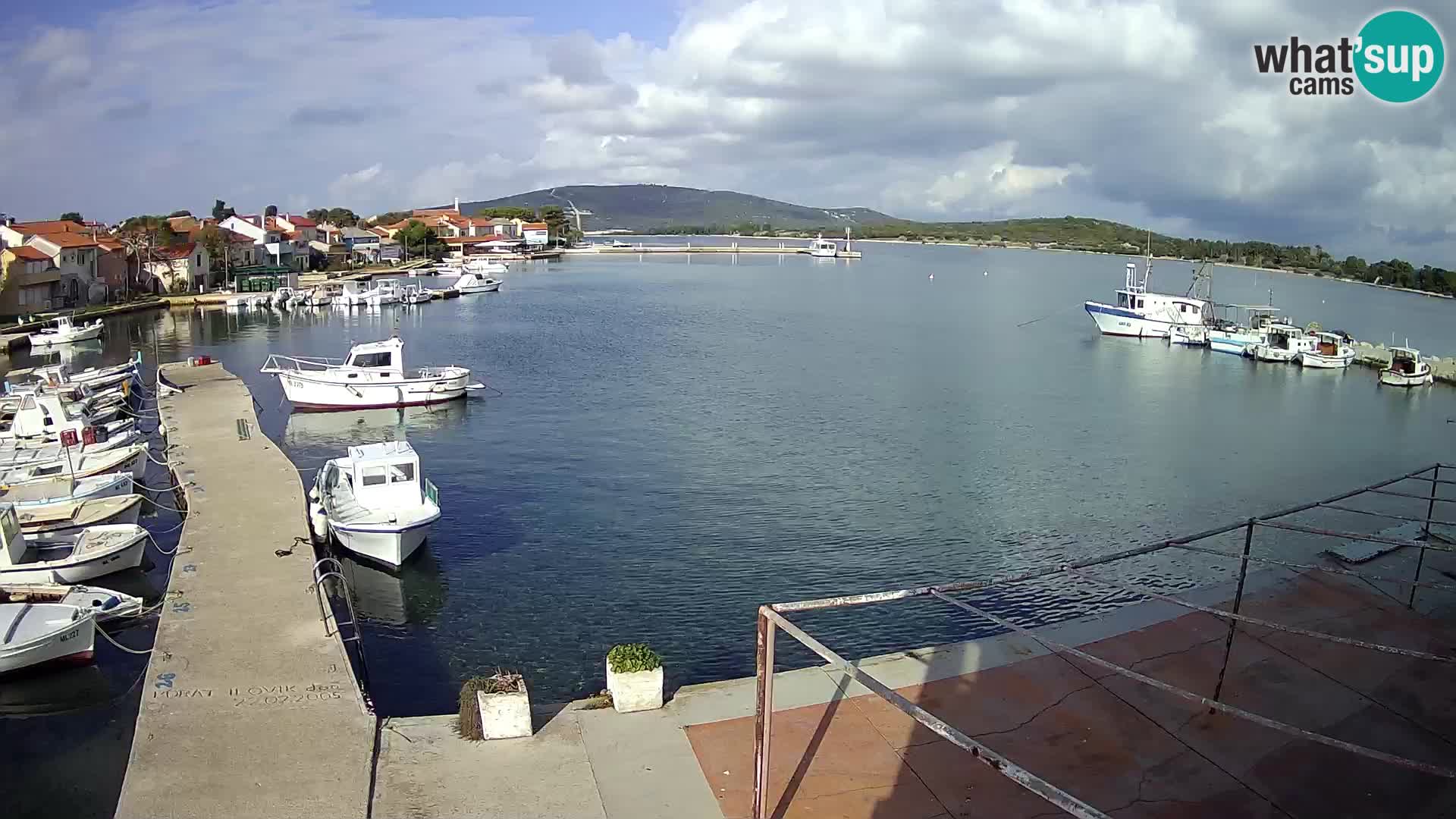 Livecam Asinello – San Piero