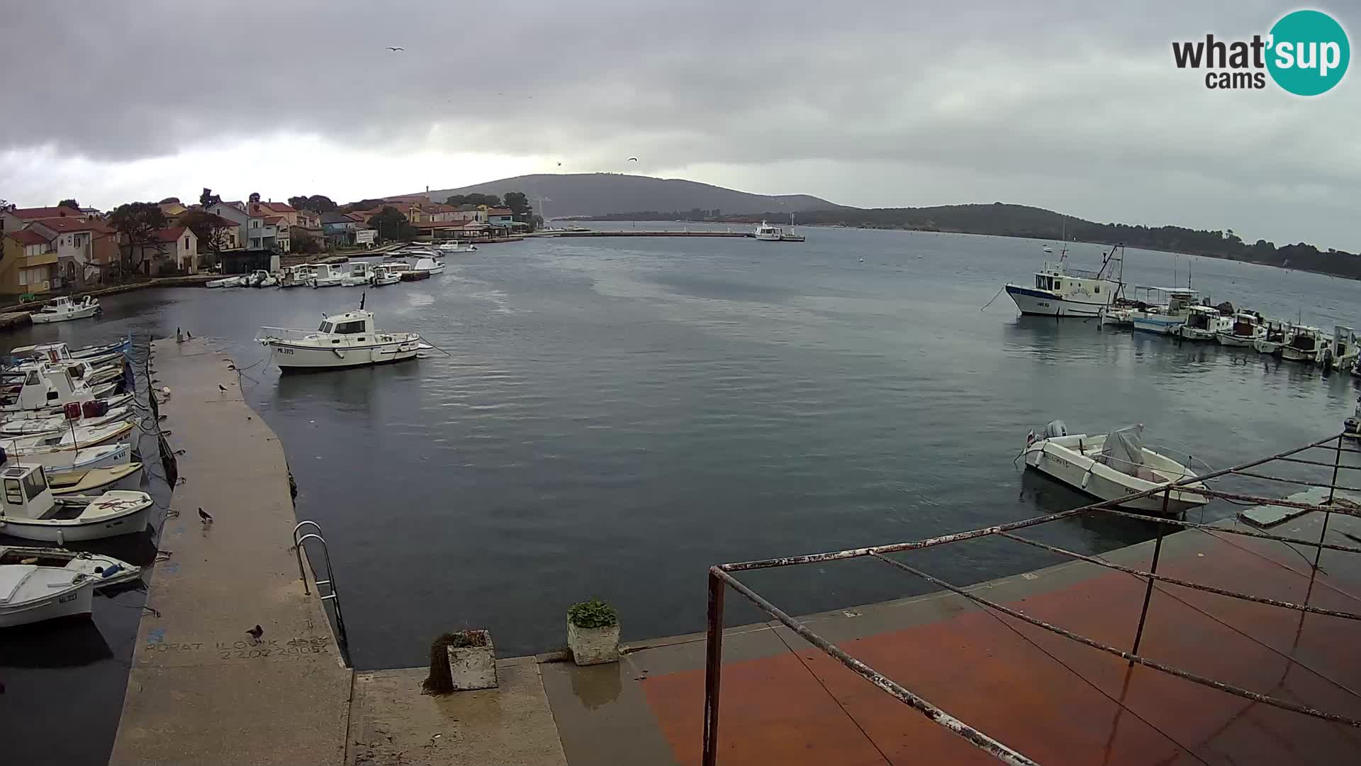 Webcam Ilovik – Sveti Petar – Kvarner