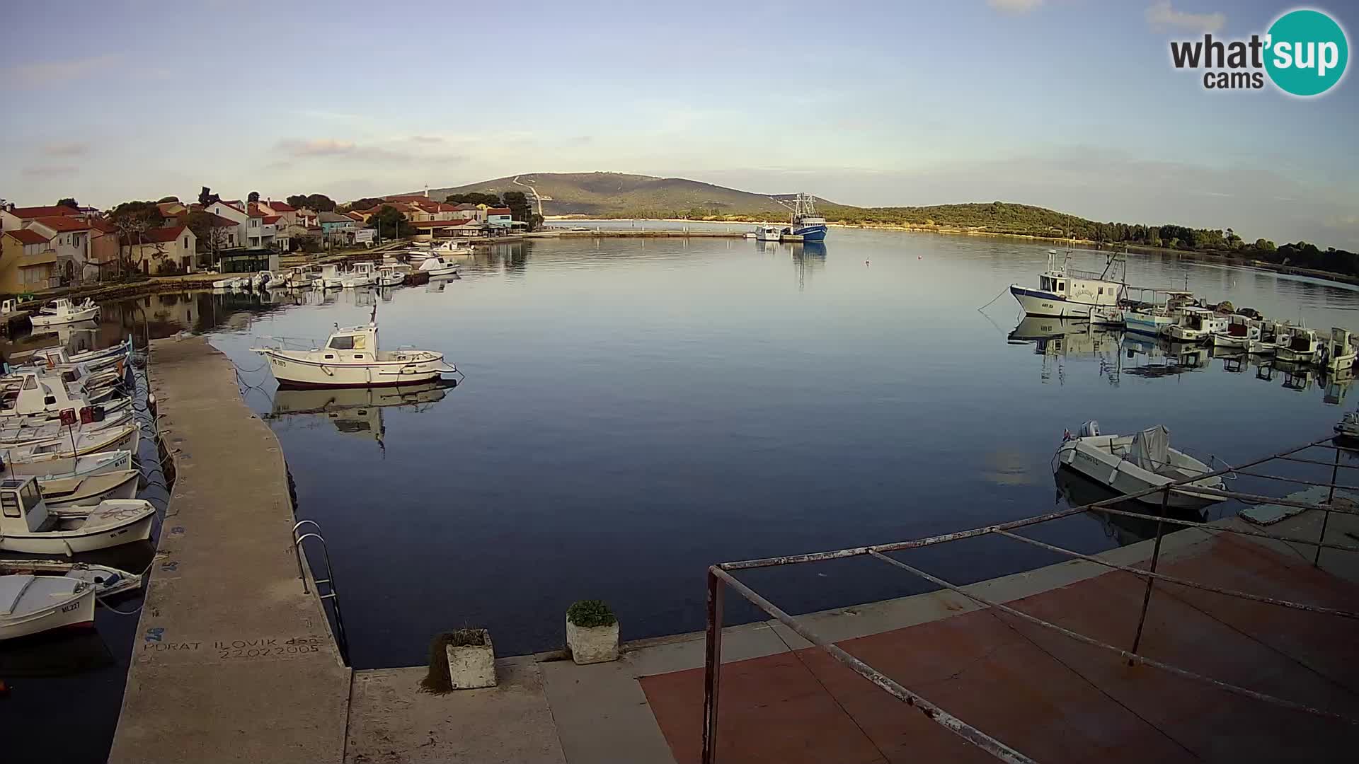 Livecam Asinello – San Piero