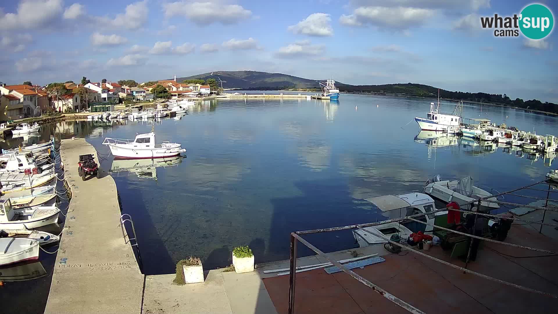 Livecam Asinello – San Piero