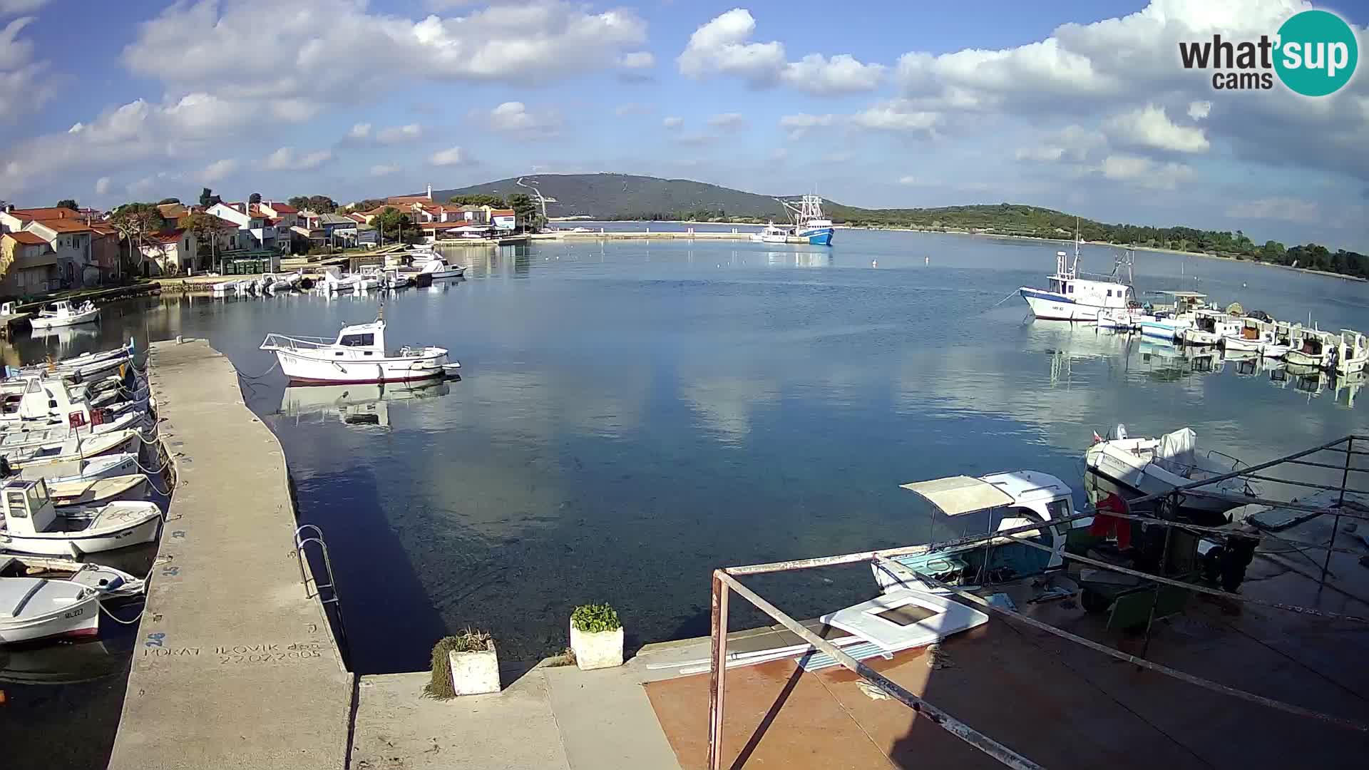 Webcam Ilovik – Sveti Petar – Kvarner