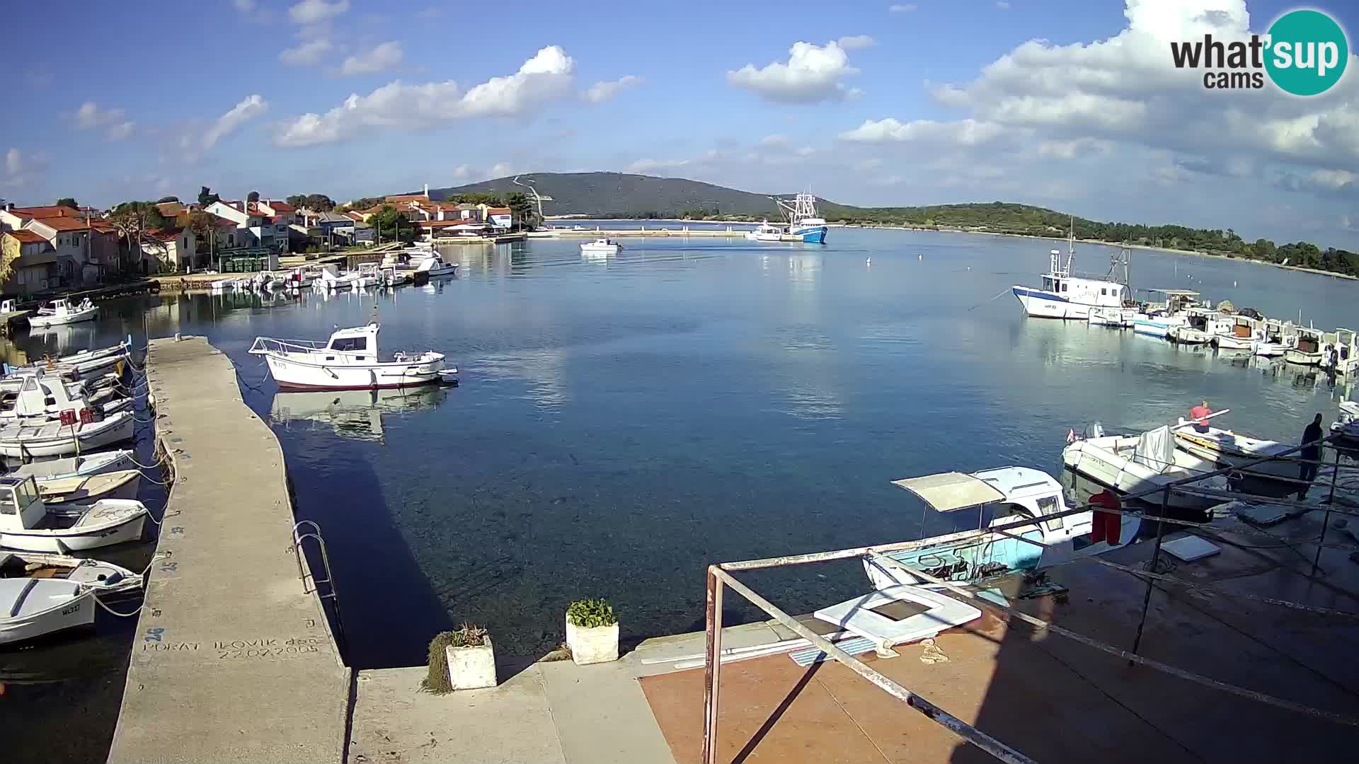 Webcam Ilovik – Sveti Petar – Kvarner