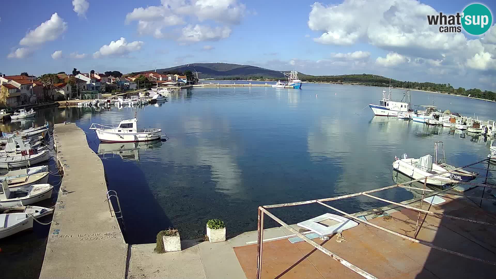 Livecam Asinello – San Piero