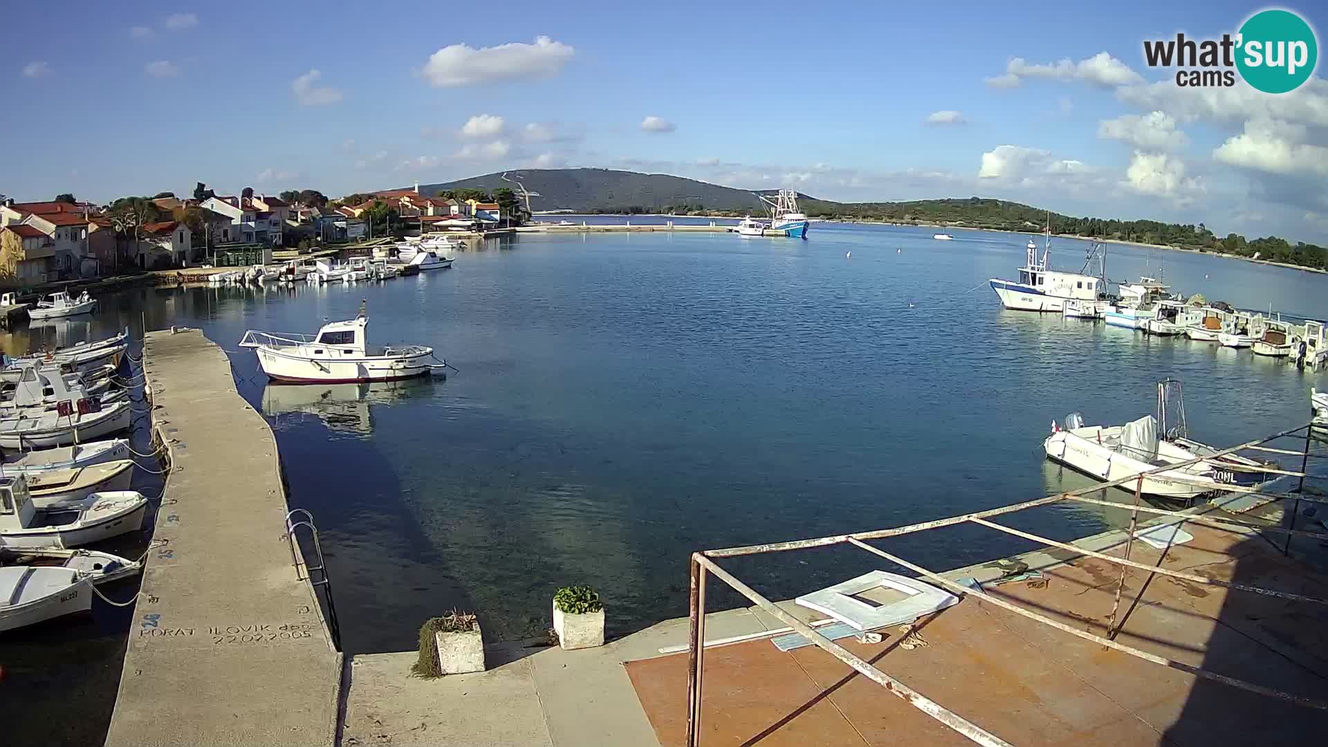 Livecam Asinello – San Piero