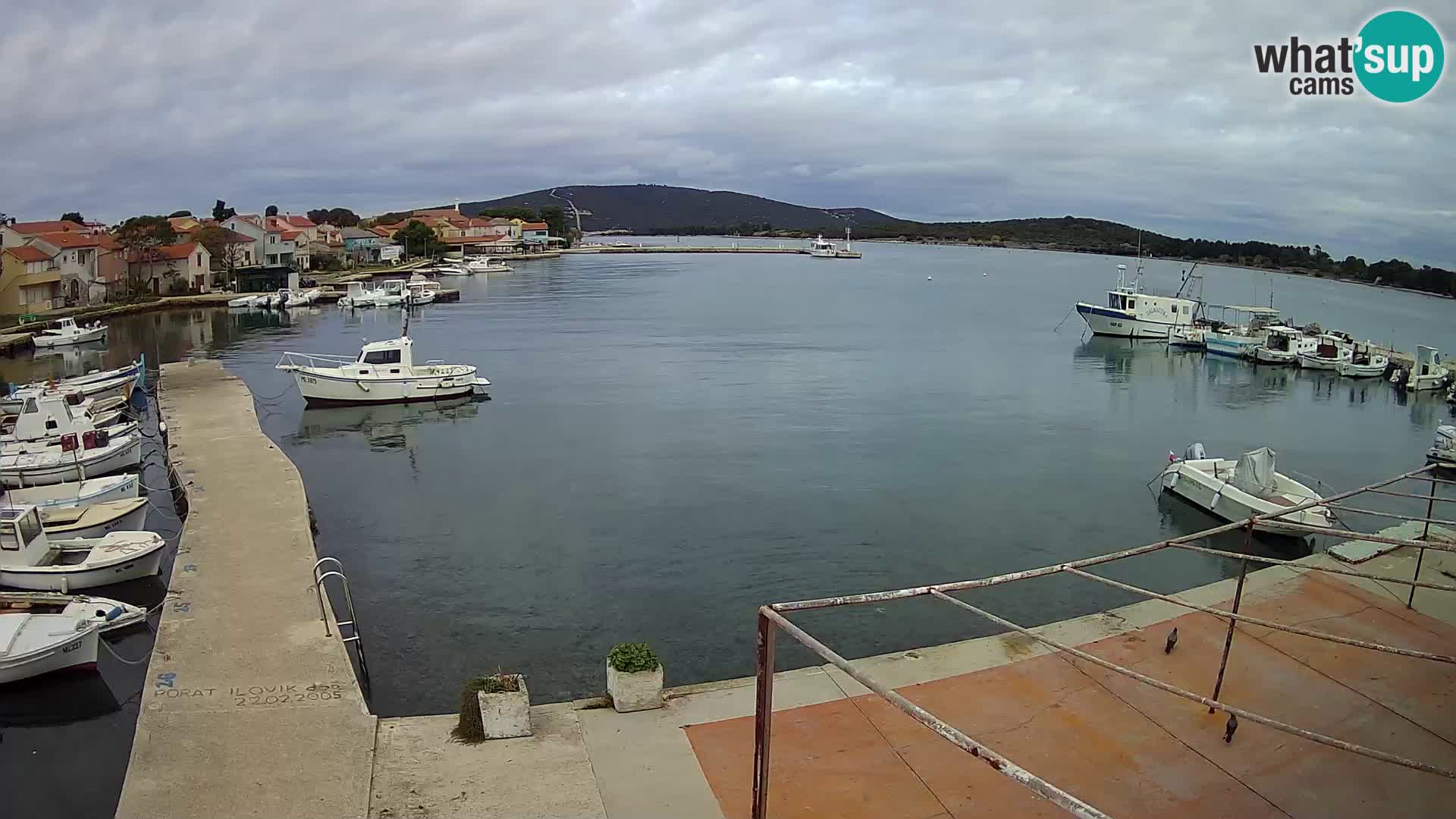 Webcam Ilovik – Sveti Petar – Kvarner