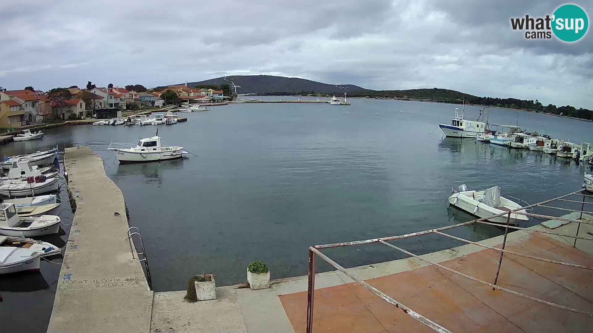 Webcam Ilovik – Sveti Petar – Kvarner