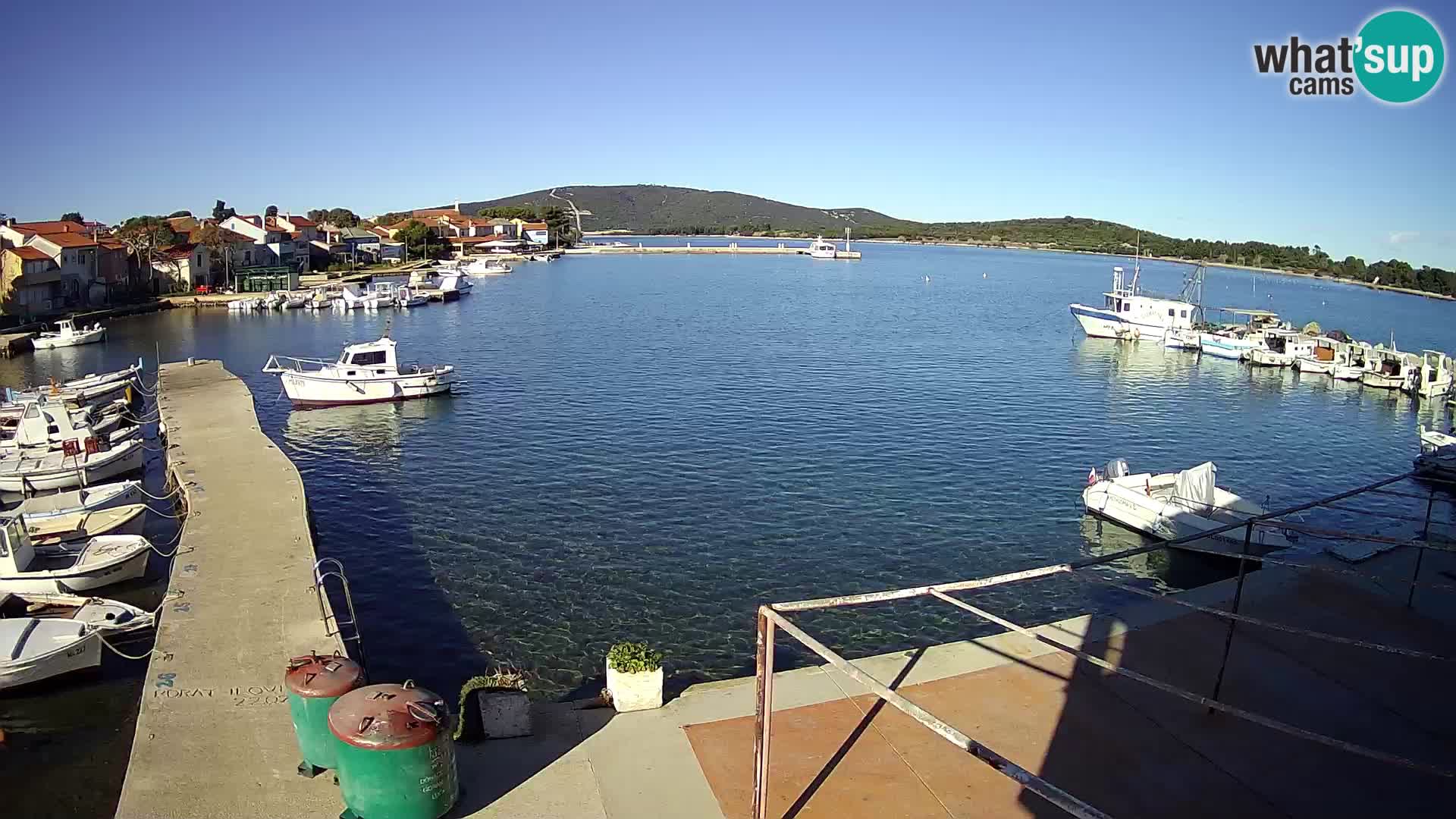 Livecam Asinello – San Piero