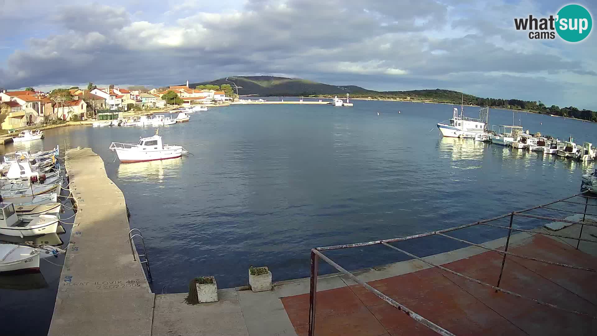 Webcam Ilovik – Sveti Petar – Kvarner