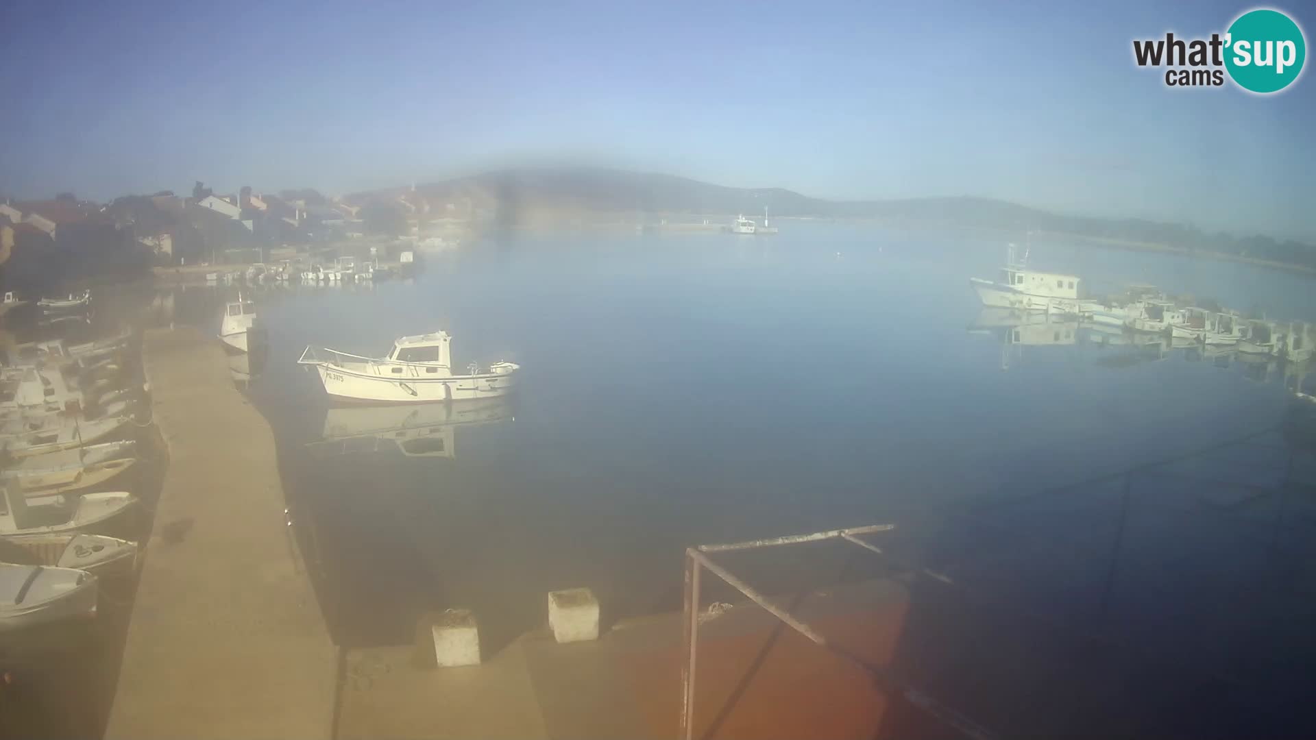 Livecam Asinello – San Piero