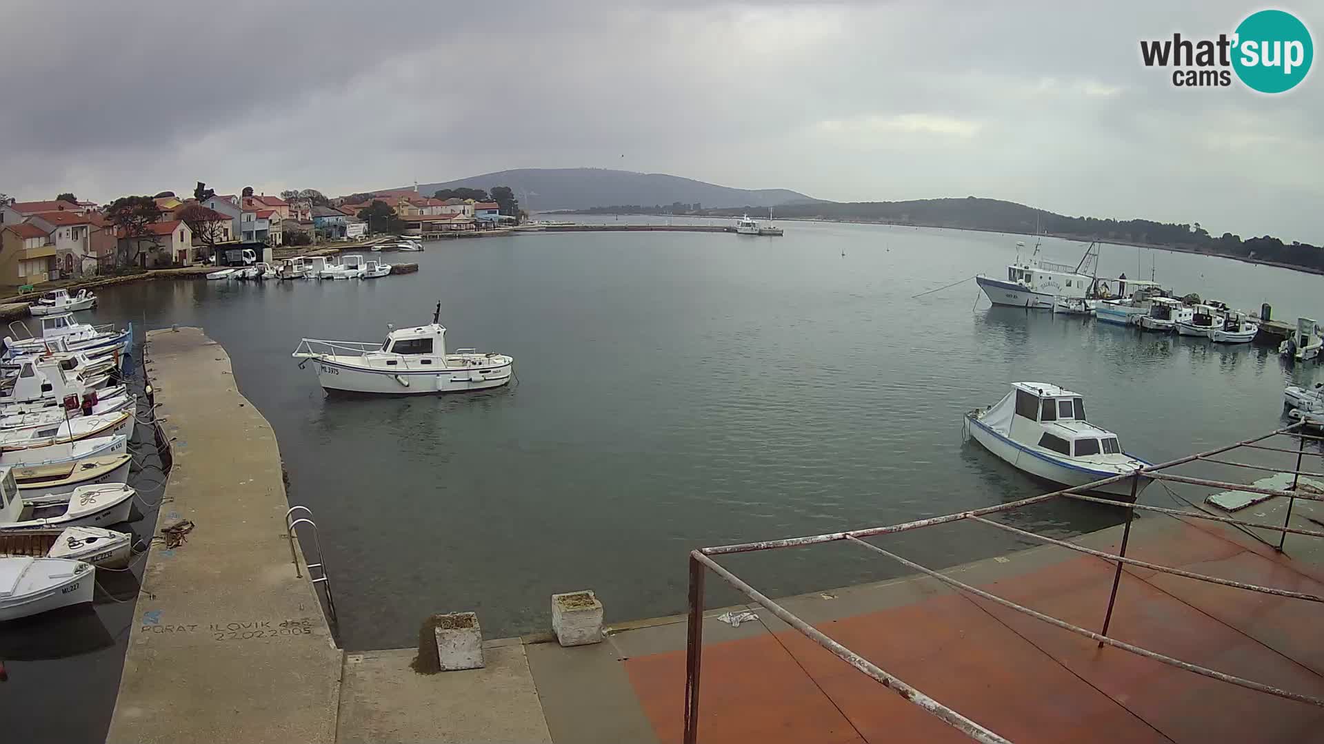 Livecam Asinello – San Piero