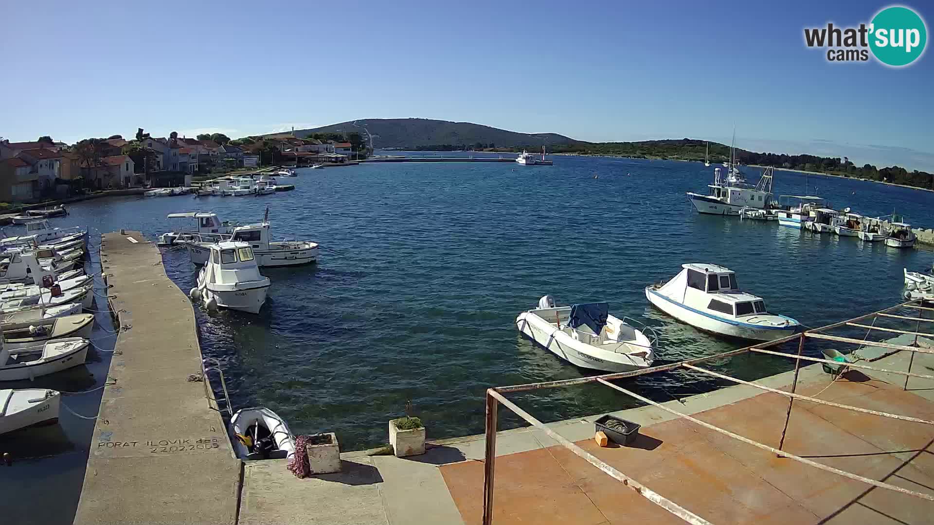 Live cam Ilovik – Sveti Petar