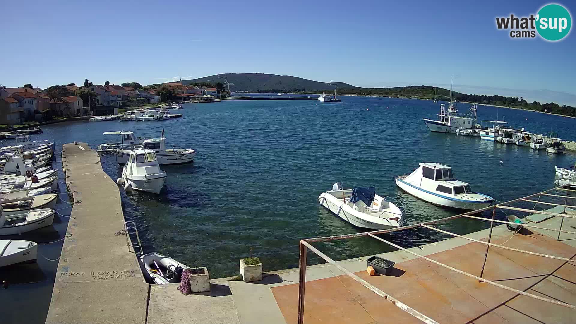 Webcam Ilovik – Sveti Petar