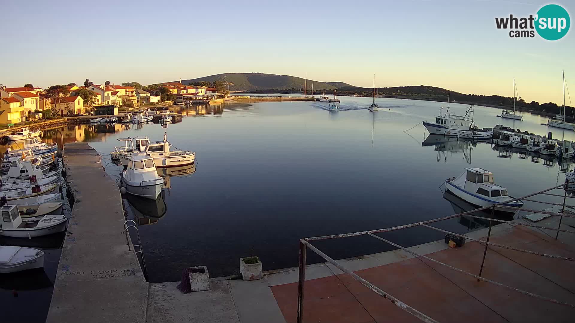 Livecam Asinello – San Piero