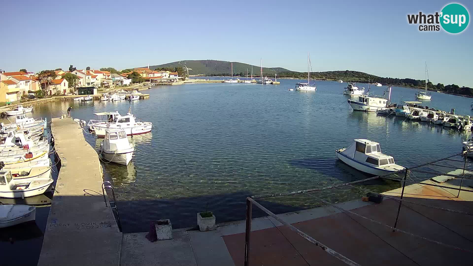 Livecam Asinello – San Piero