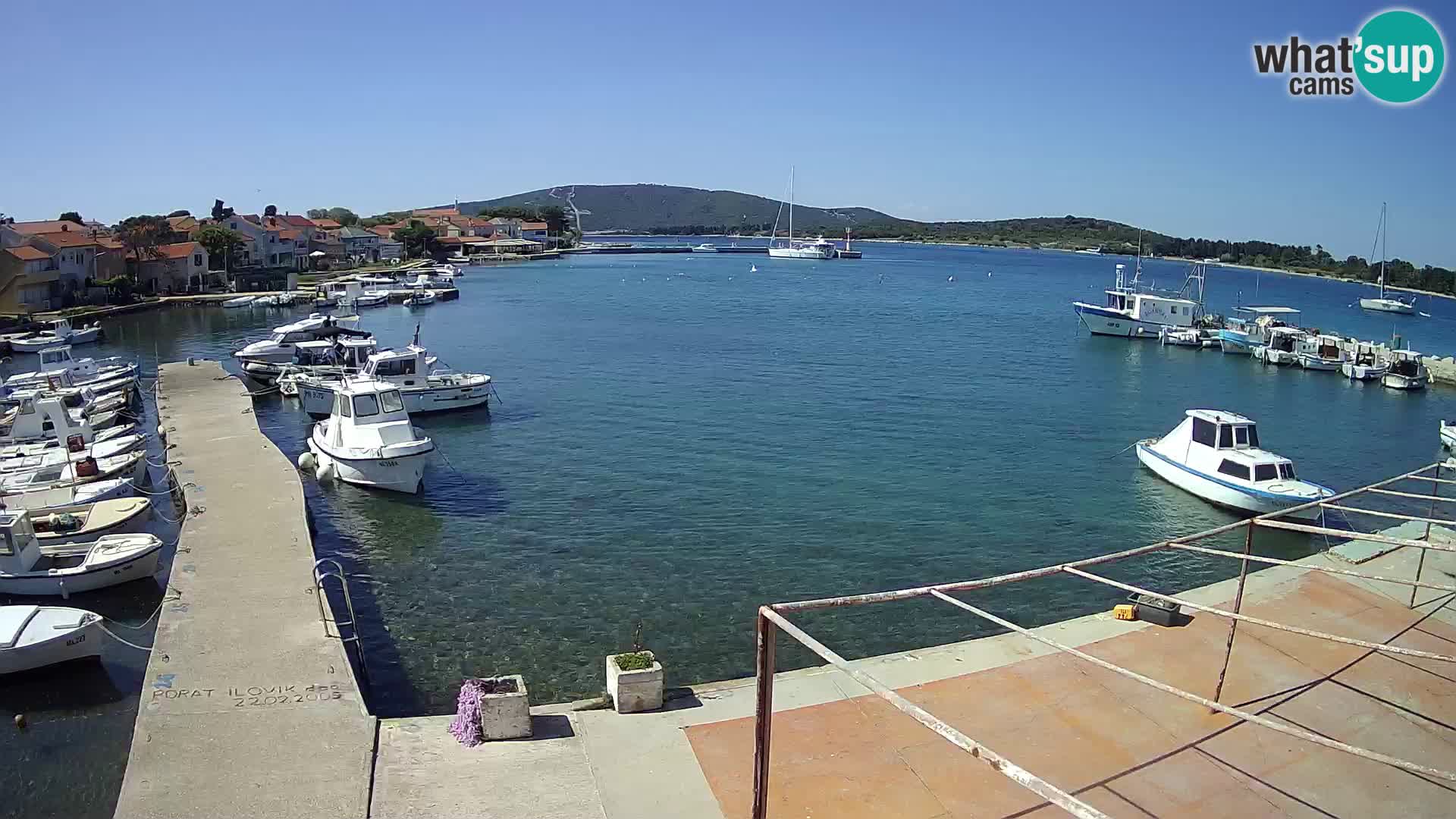 Webcam Ilovik – Sveti Petar – Kvarner