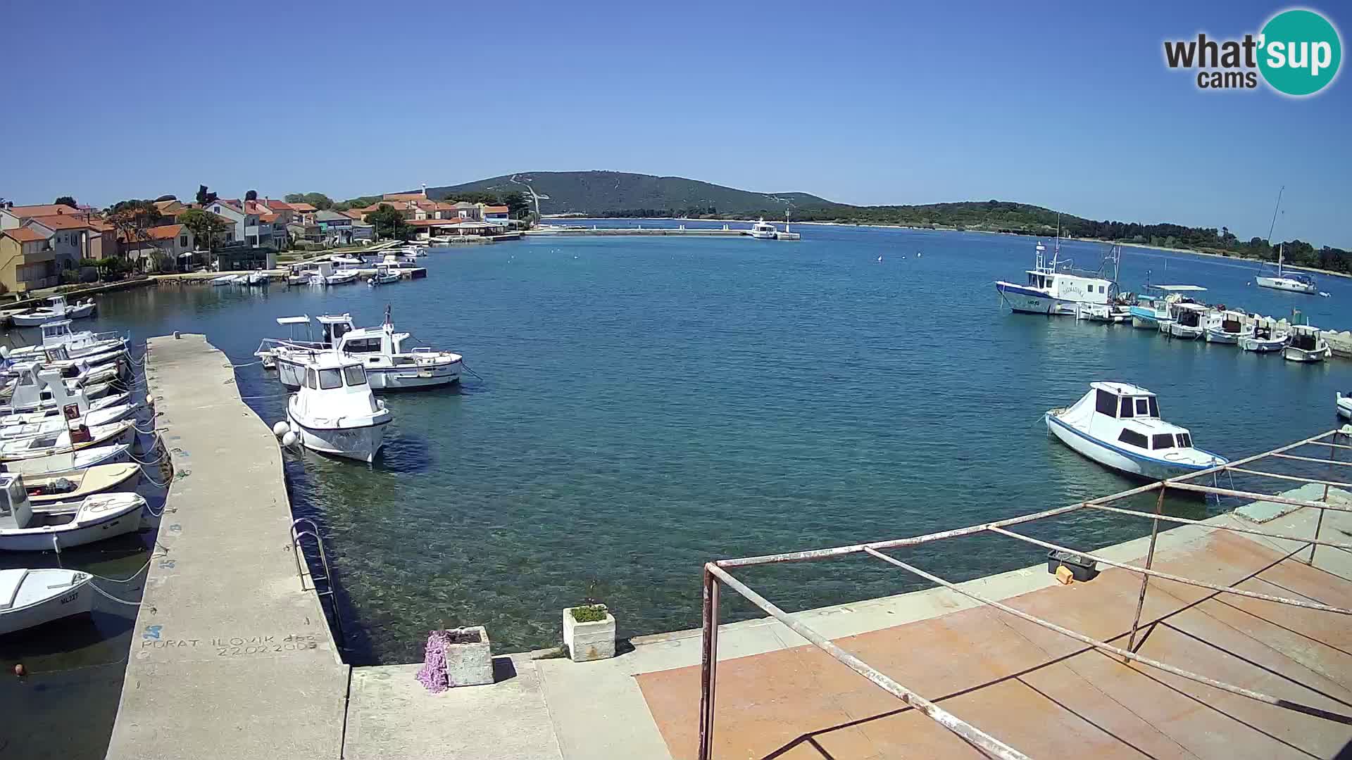 Camera en vivo Ilovik – Sveti Petar