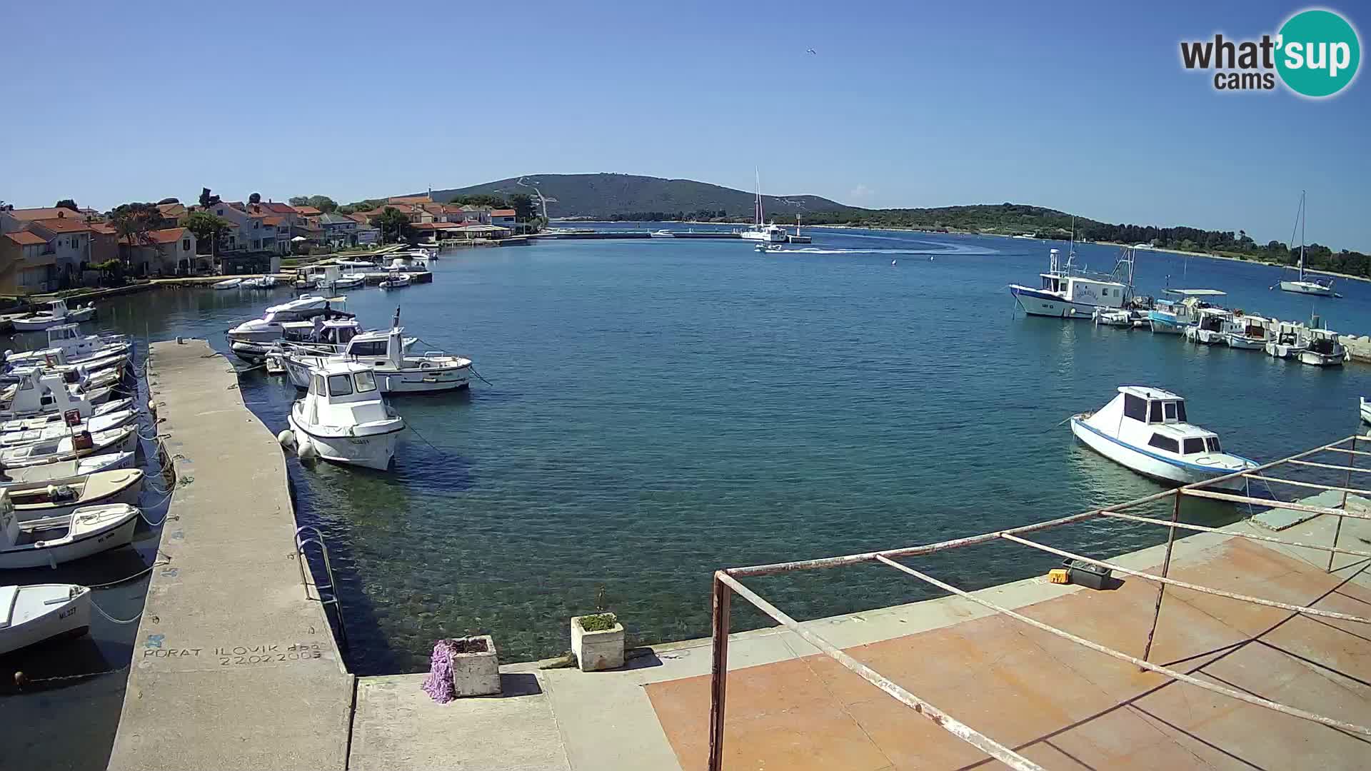 Webcam Ilovik – Sveti Petar