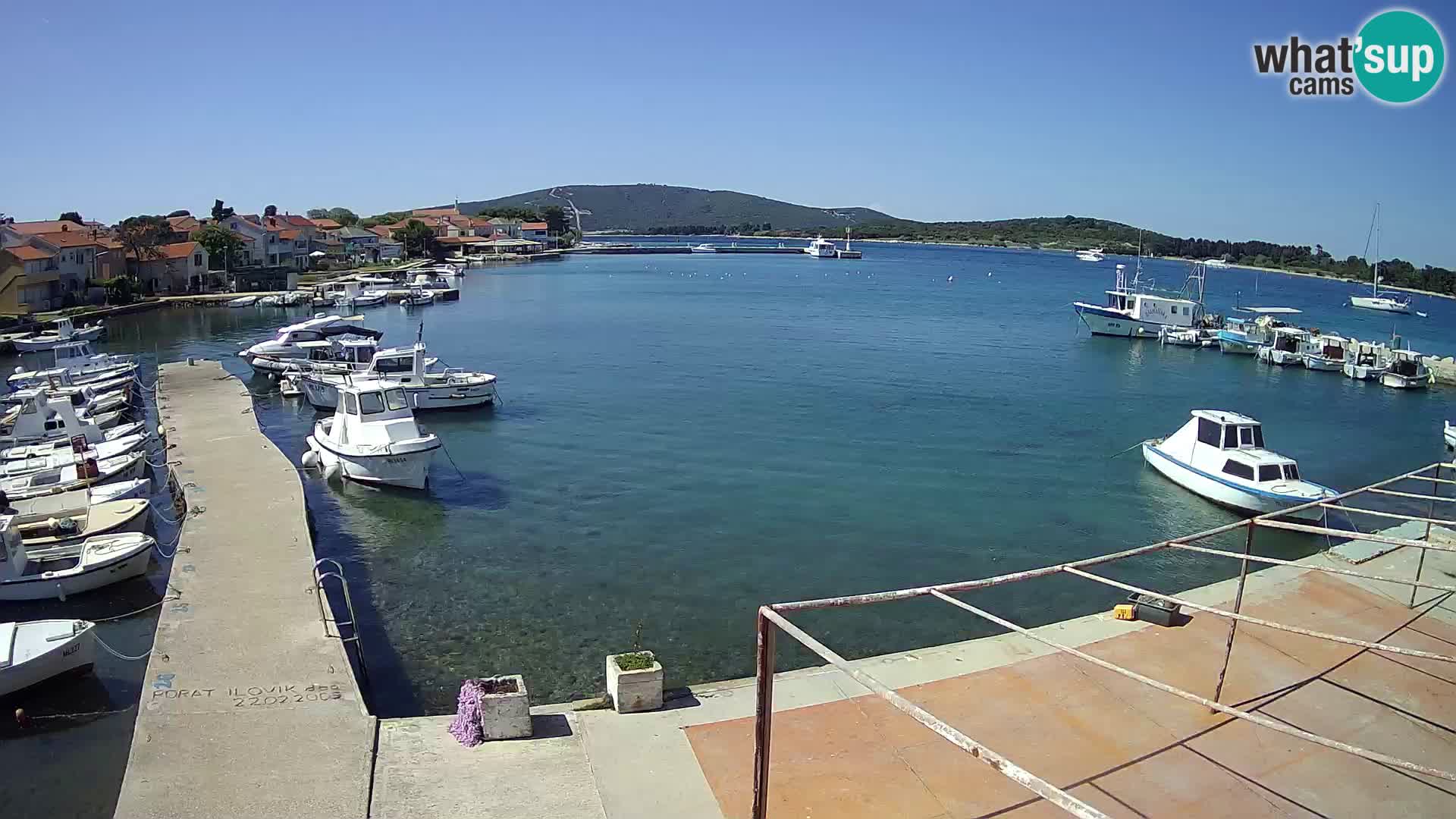 Camera en vivo Ilovik – Sveti Petar