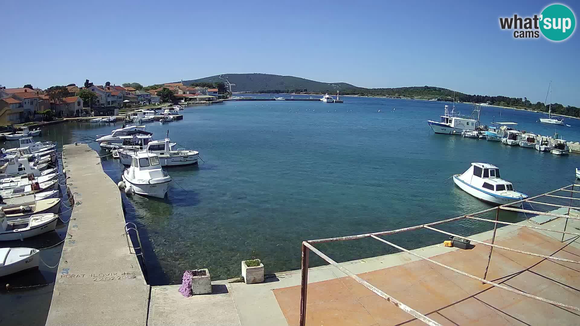 Live cam Ilovik – Sveti Petar